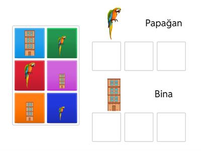 Uzundan Kısaya Sırala-4