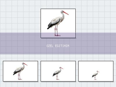 Aynı Boyutta Eşle-4