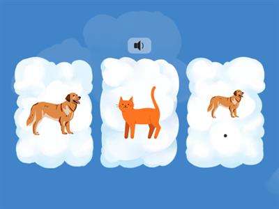 Farklı Olanı Bul-2