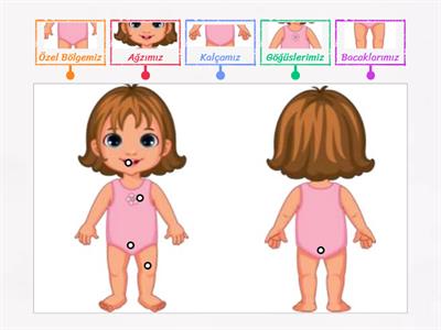 Kız Özel Bölgeleri