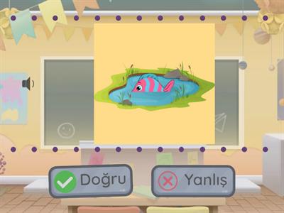 Doğru Yanlış Bulma