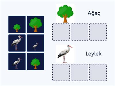 Uzundan Kısaya Sırala-3