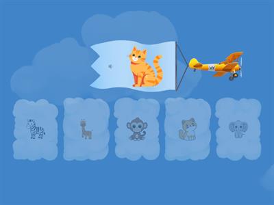 Yavrusunu Bulalım Uçak