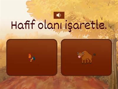 Hafif Olanı Bul