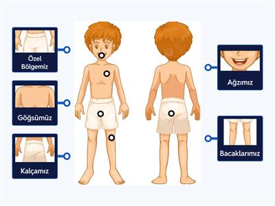 Erkek Özel Bölgeleri