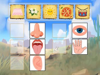 Duyularımızı Eşliyoruz