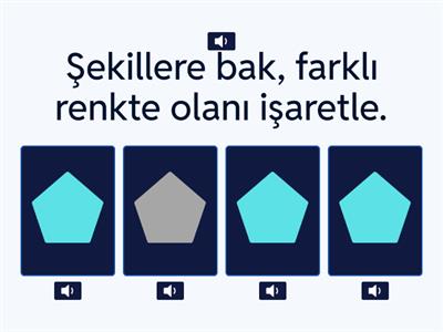 Farklı Rengi Bul