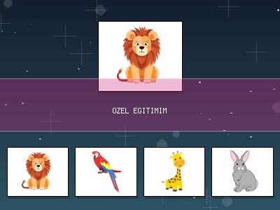 Aynı Olanları Eşle-4