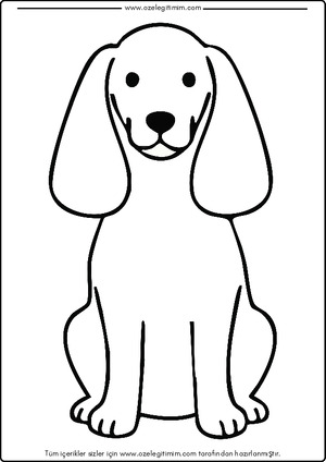 Köpek Boyama 12