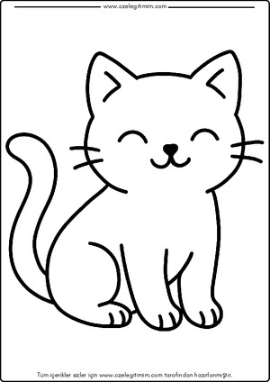 Kedi Boyama 2