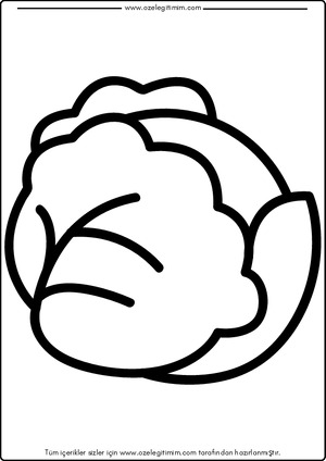 Lahana Boyama