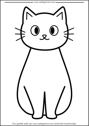 Kedi Boyama 7