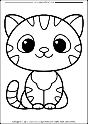 Kedi Boyama 4