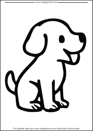 Köpek Boyama 16