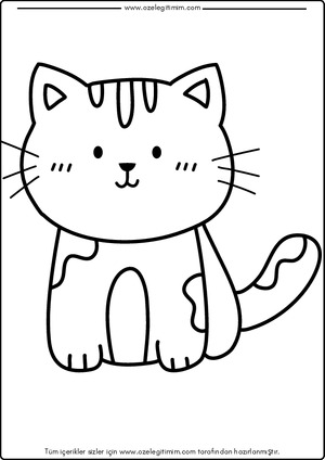 Kedi Boyama 10