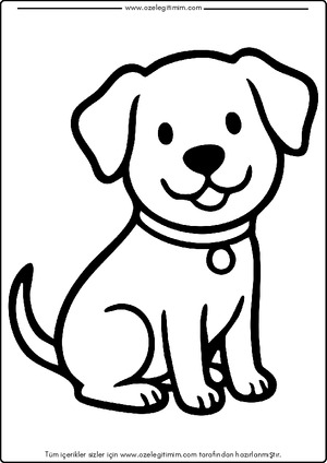 Köpek Boyama 11