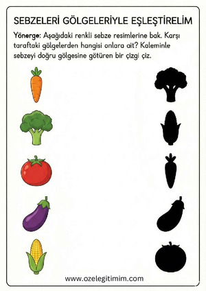 Gölge Eşle 2