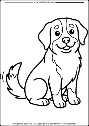 Köpek Boyama 8