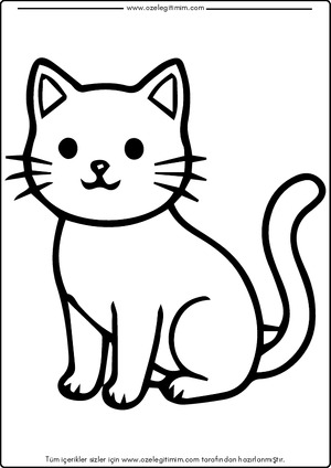 Kedi Boyama 3