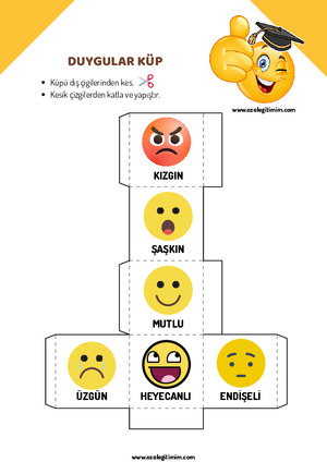 Duygular Küpü