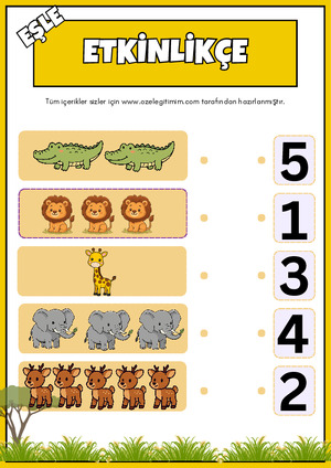 Rakam Eşleme 5