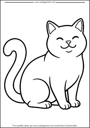 Kedi Boyama 6