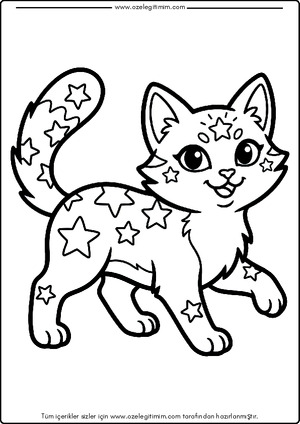 Kedi Boyama 8