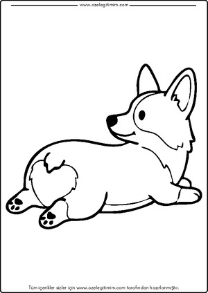 Köpek Boyama 14