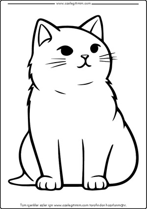 Kedi Boyama 1