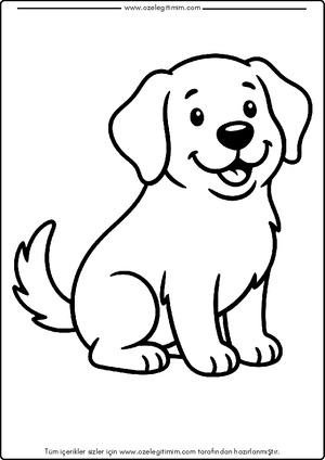 Köpek Boyama 6