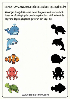 Gölge Eşle 10