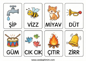 Ses Kartı 1