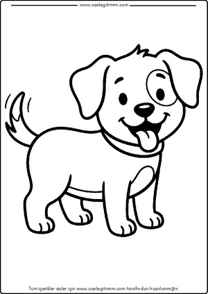 Köpek Boyama 7