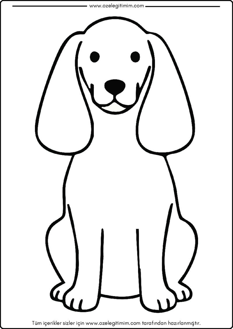 Köpek Boyama 12