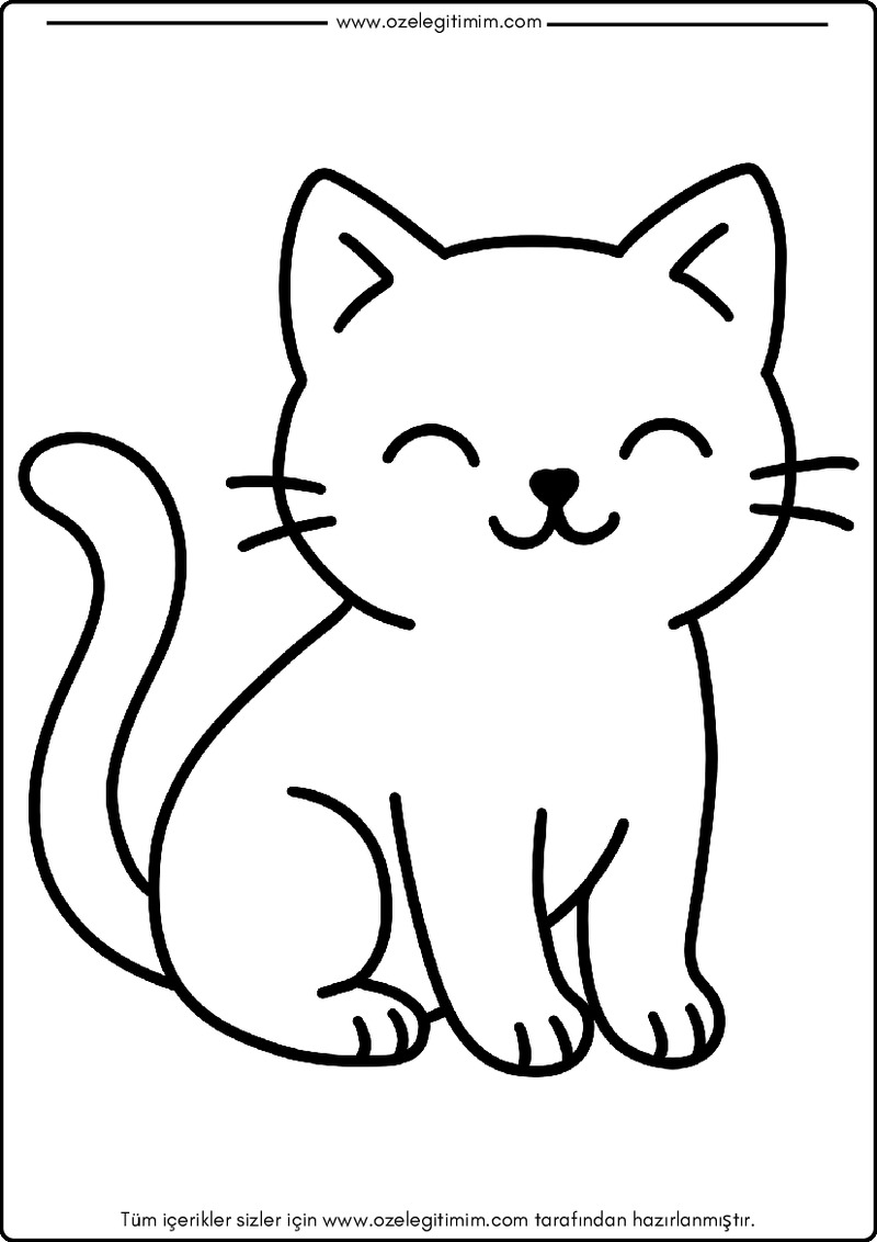 Kedi Boyama 2