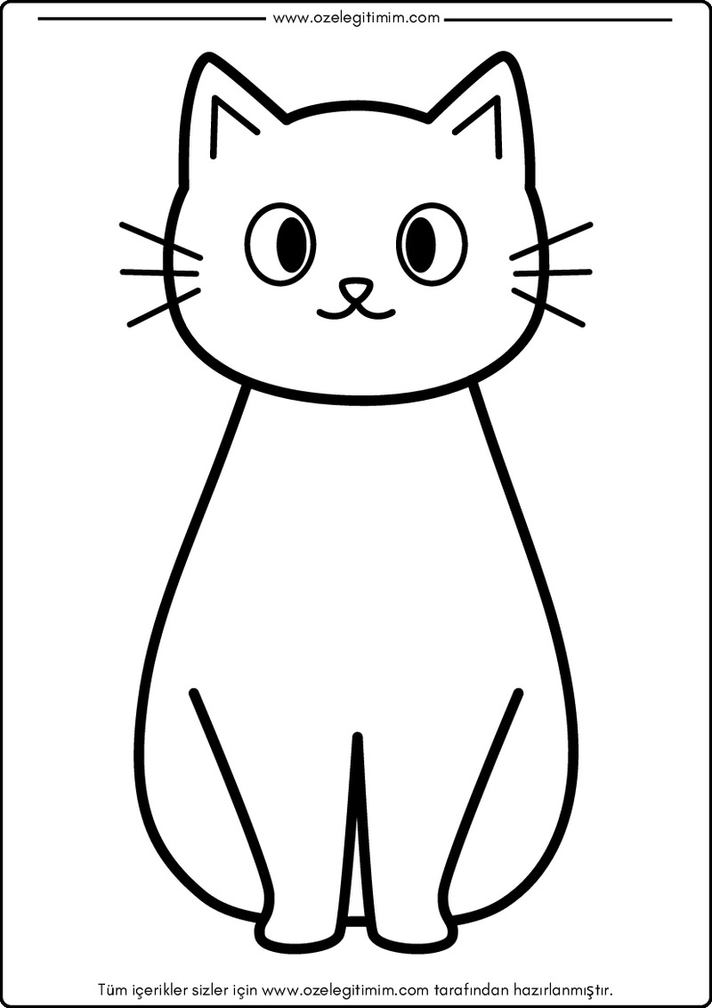 Kedi Boyama 7