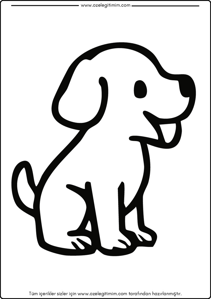 Köpek Boyama 16