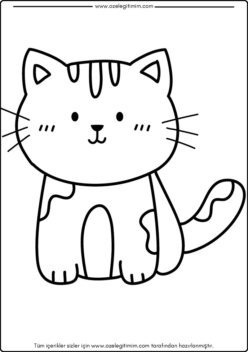 Kedi Boyama 10