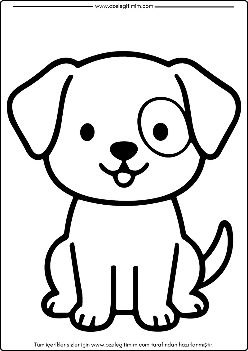 Köpek Boyama 10