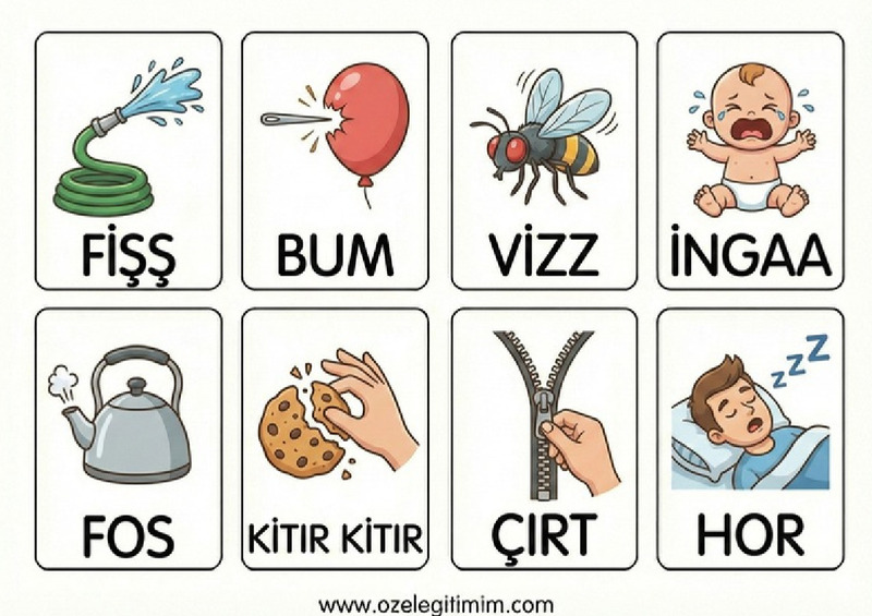 Ses Kartı 5