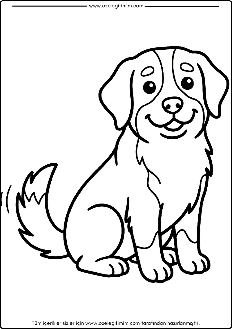 Köpek Boyama 8