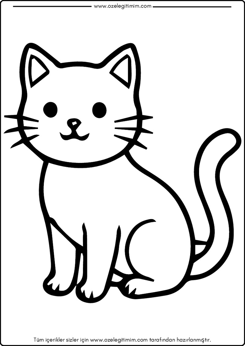 Kedi Boyama 3