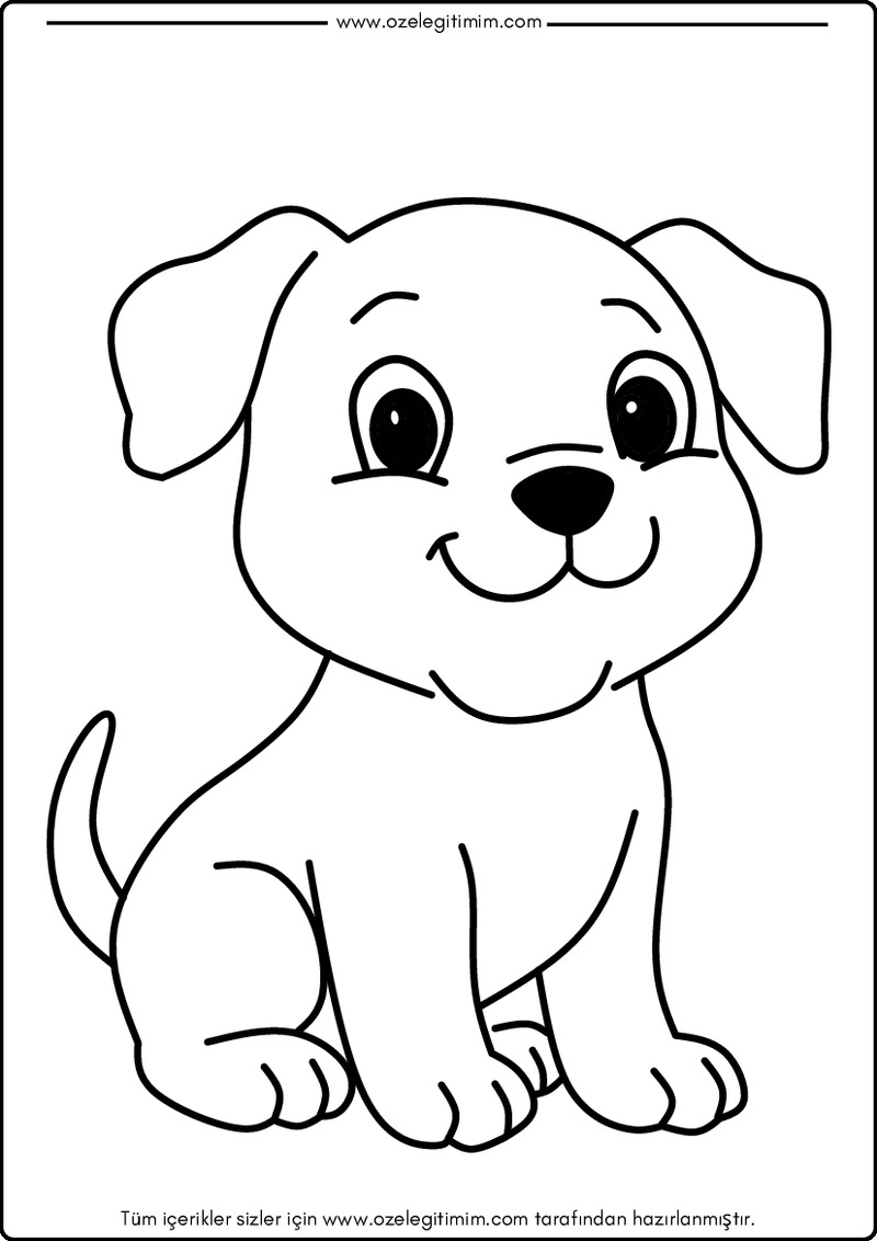 Köpek Boyama 5