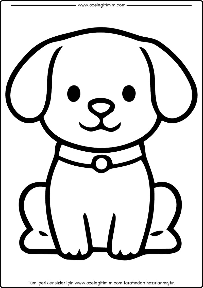Köpek Boyama 1