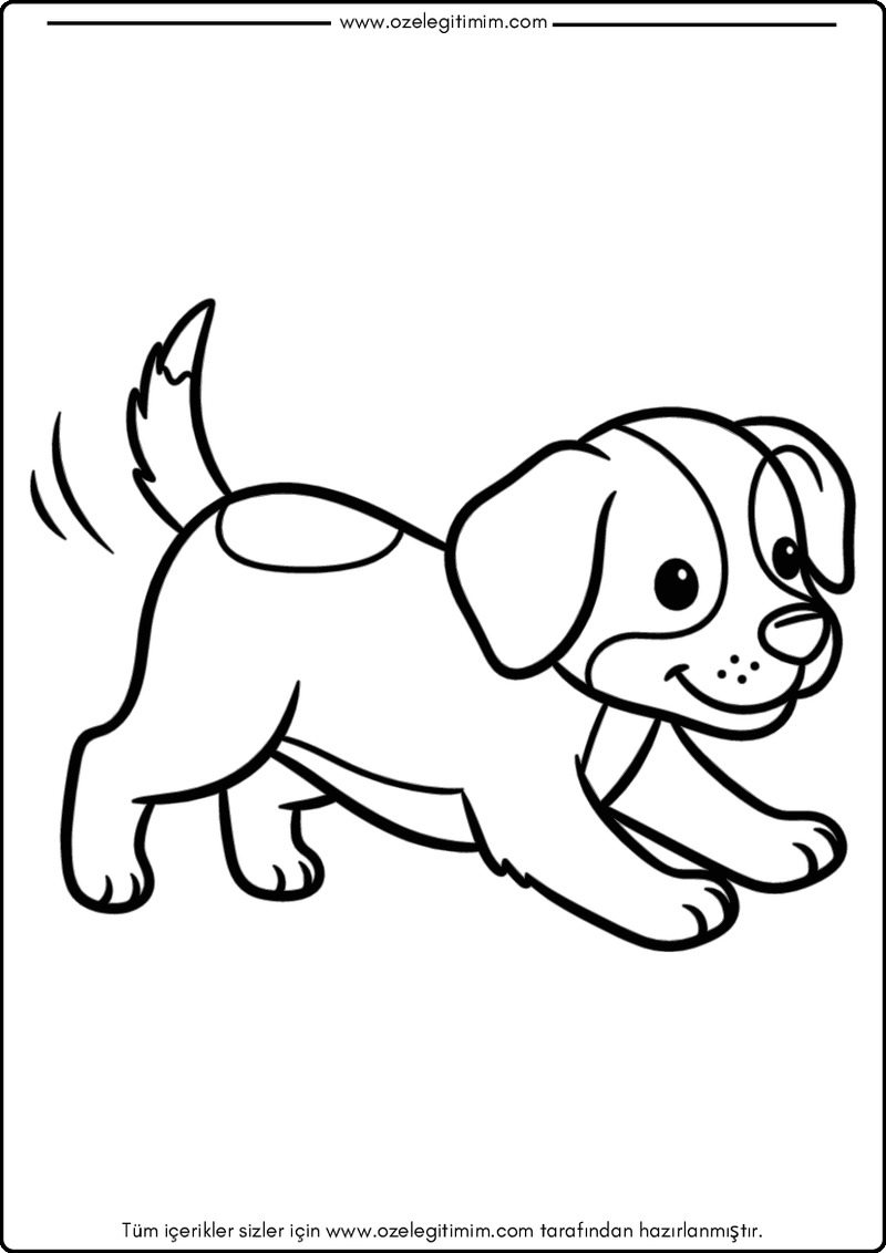 Köpek Boyama 9