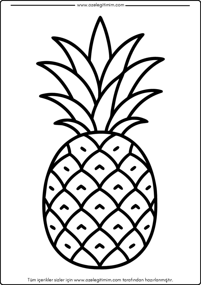 Ananas Boyama