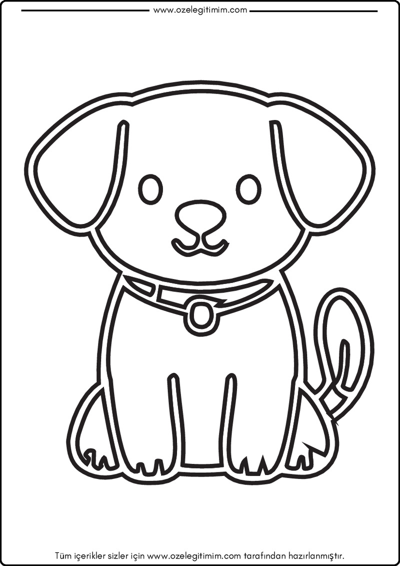 Köpek Boyama 15