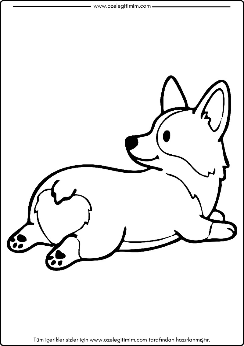Köpek Boyama 14