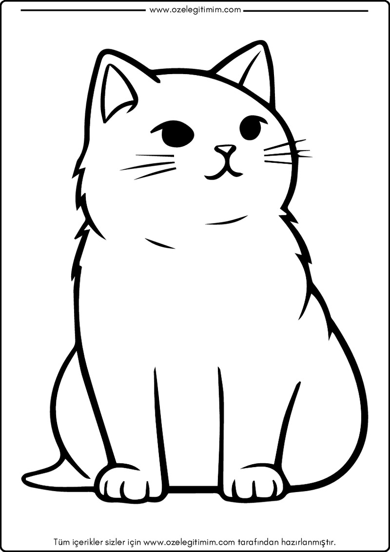 Kedi Boyama 1
