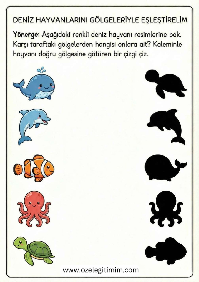 Gölge Eşle 10